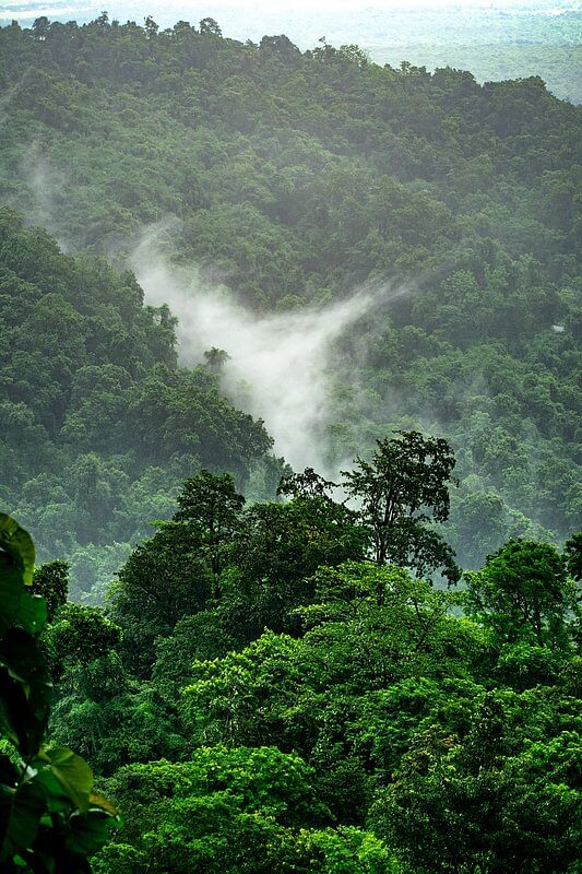 Ambalaj